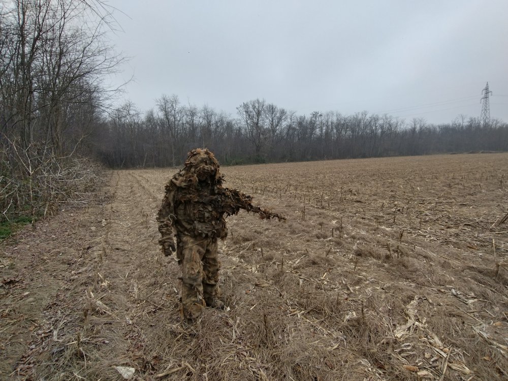Sniper Milsim Arid