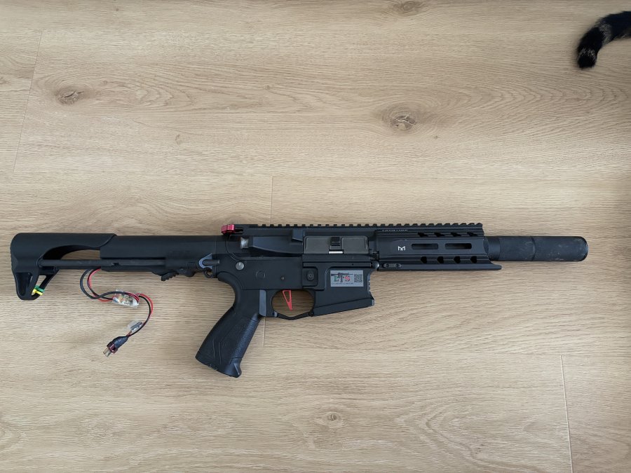 fucile ARP G&G Spedito