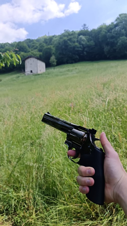 Revolver dan wesson 715 da 6 pollici
